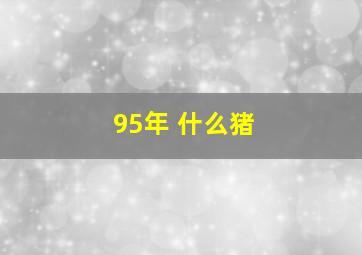 95年 什么猪